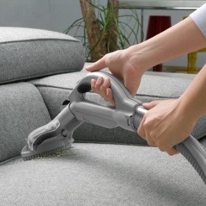 Upholstery cleaning services